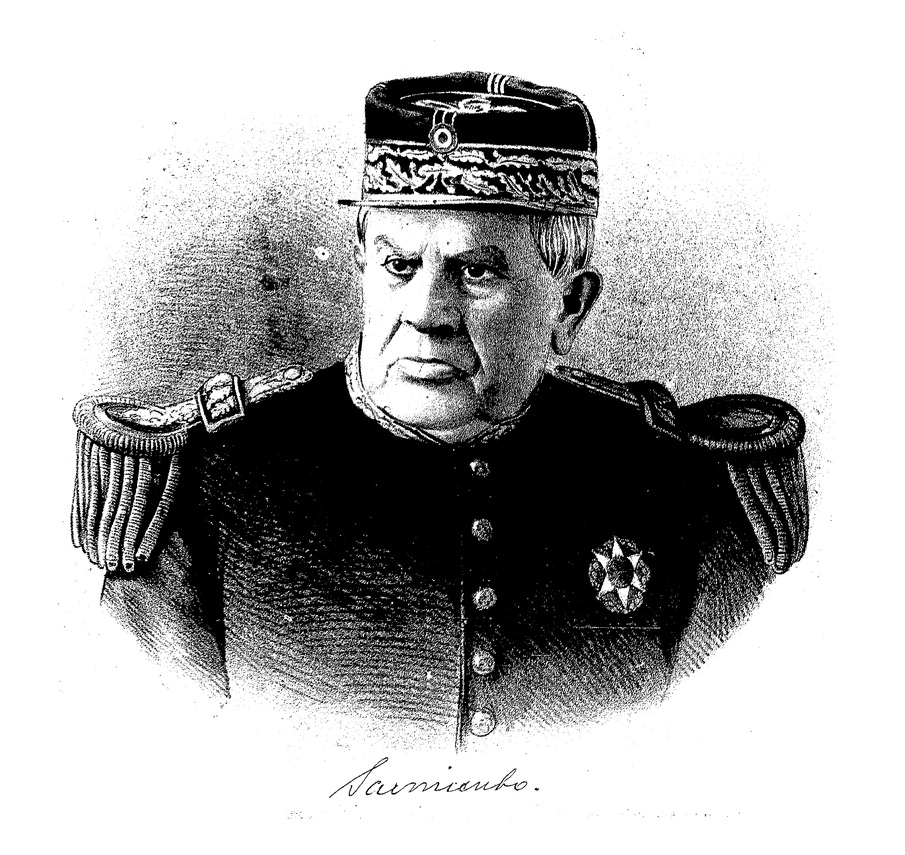 Domingo F. Sarmiento, 1880 - Henri Stein