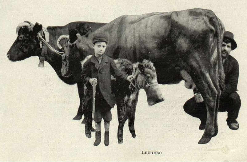 Vendedor lechero - La Ilustración Sudamericana, 1901